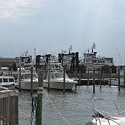 Picture 200